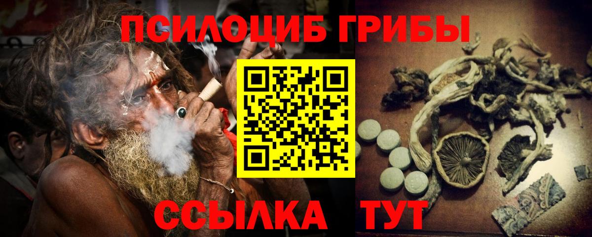 Нерюнгри  Псилоцибиновые грибы мицелий  Вход с VPN 