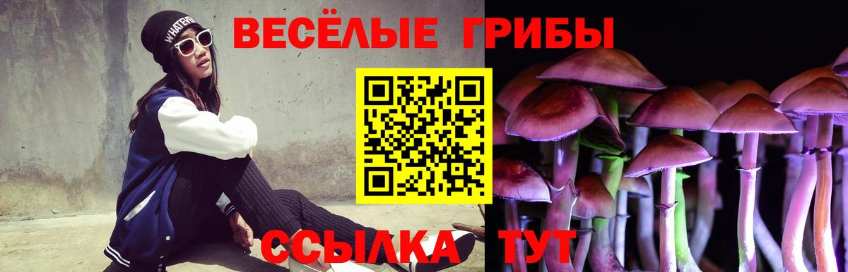 Галлюциногенные грибы MAGIC MUSHROOMS Нерюнгри